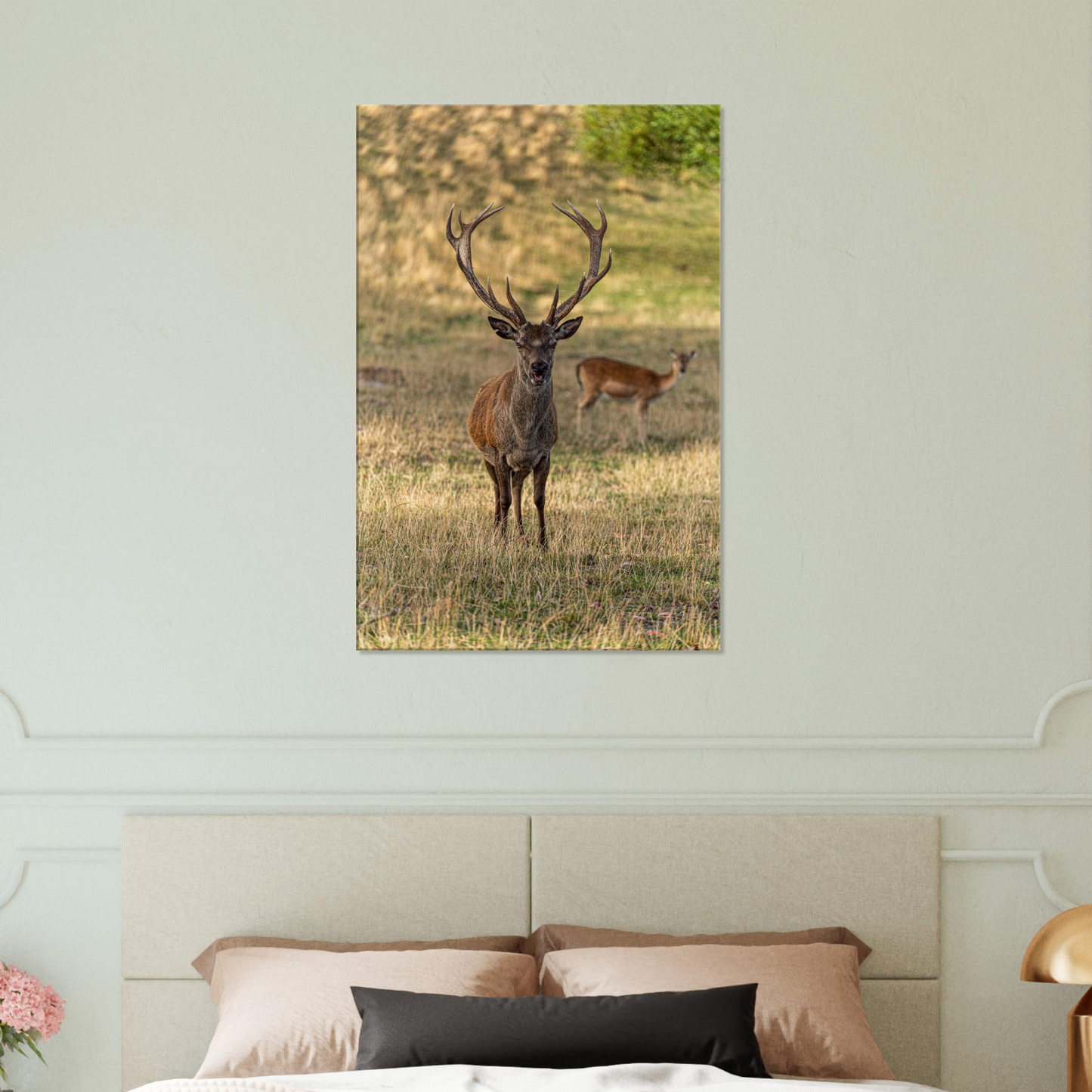 Deer Wildlife Animals Art Nursery Photography Wall Decor Kids Room Poster Playroom Artwork Stag Stretched Canvas 023