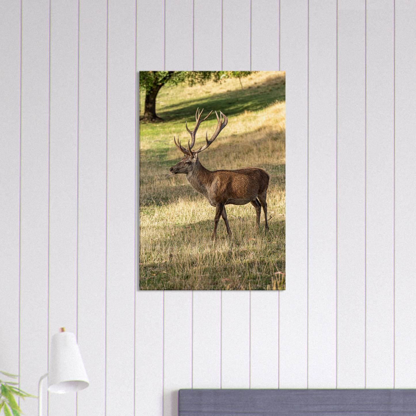 Deer Wildlife Animals Art Nursery Photography Wall Decor Kids Room Poster Playroom Artwork Stag Stretched Canvas 100