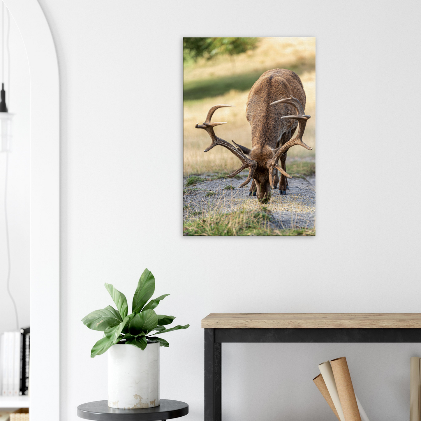 Deer Wildlife Animals Art Nursery Photography Wall Decor Kids Room Poster Playroom Artwork Stag Stretched Canvas 076