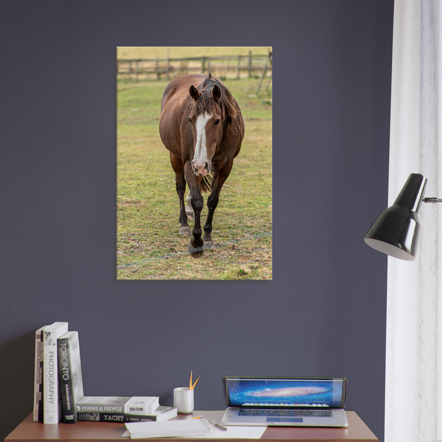 Horse Domestic Animal Canvas by Istvan Maar Photography