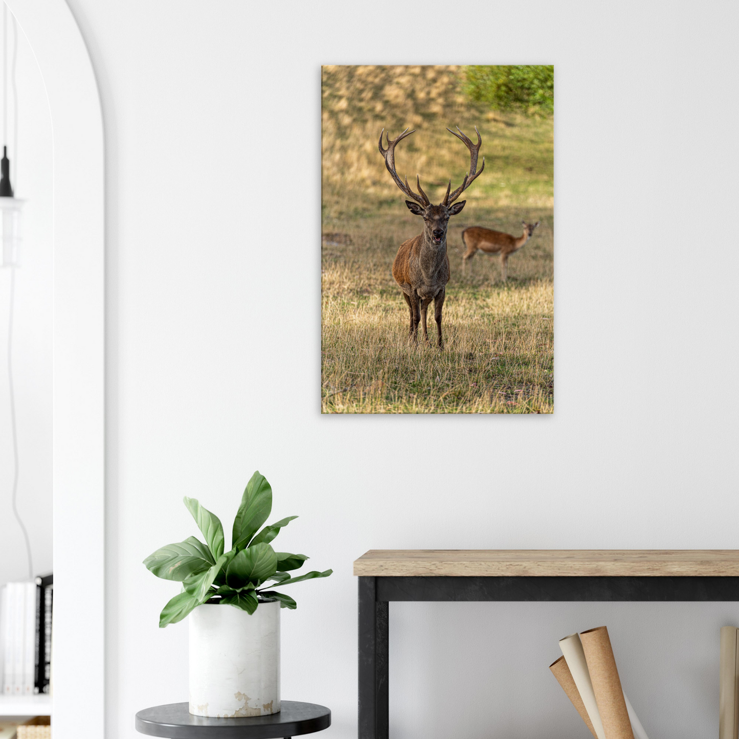 Deer Wildlife Animals Art Nursery Photography Wall Decor Kids Room Poster Playroom Artwork Stag Stretched Canvas 022