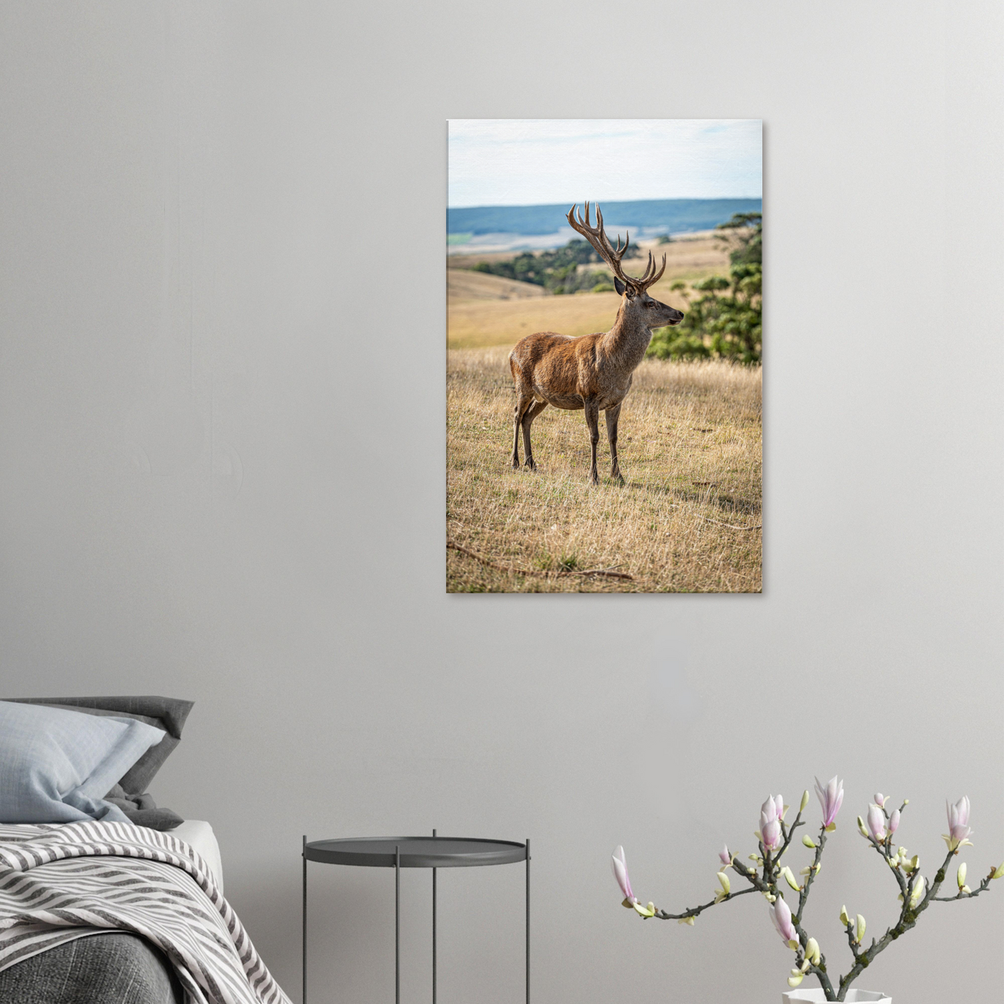 Deer Wildlife Animals Art Nursery Photography Wall Decor Kids Room Poster Playroom Artwork Stag Stretched Canvas 180