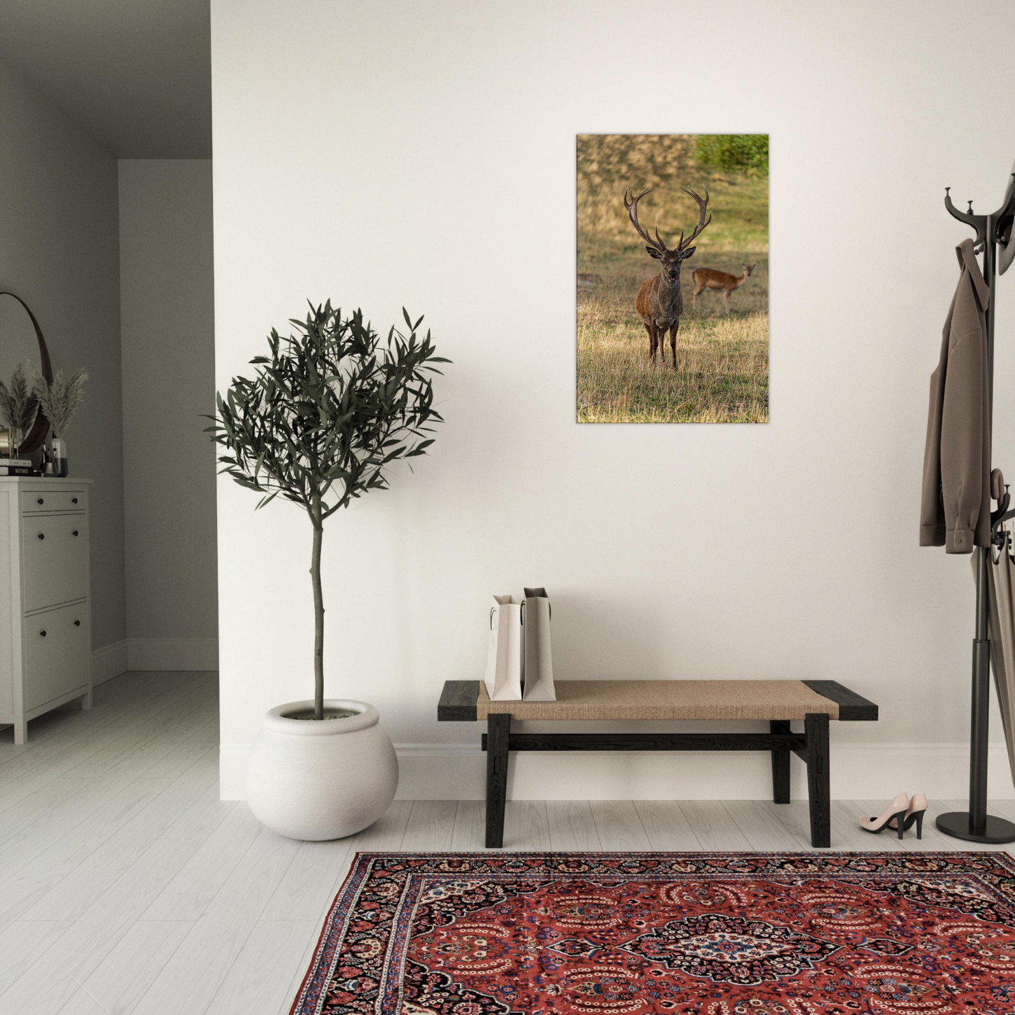 Deer Wildlife Animals Art Nursery Photography Wall Decor Kids Room Poster Playroom Artwork Stag Stretched Canvas 029