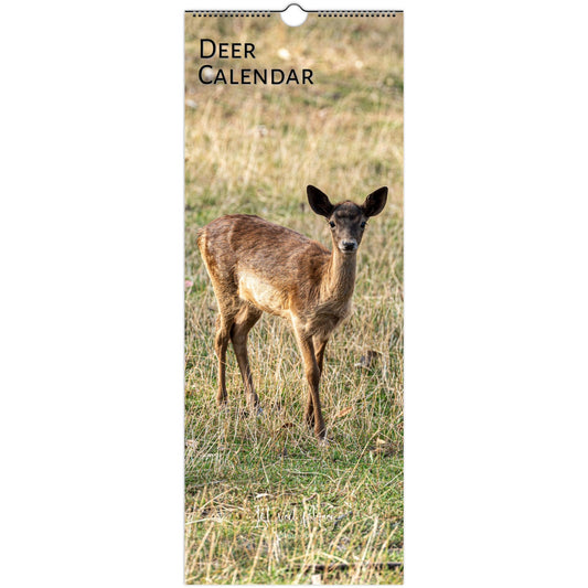 2027 Deer Slim Wall Calendar - front cover featuring deer wildlife photography by Istvan Maar