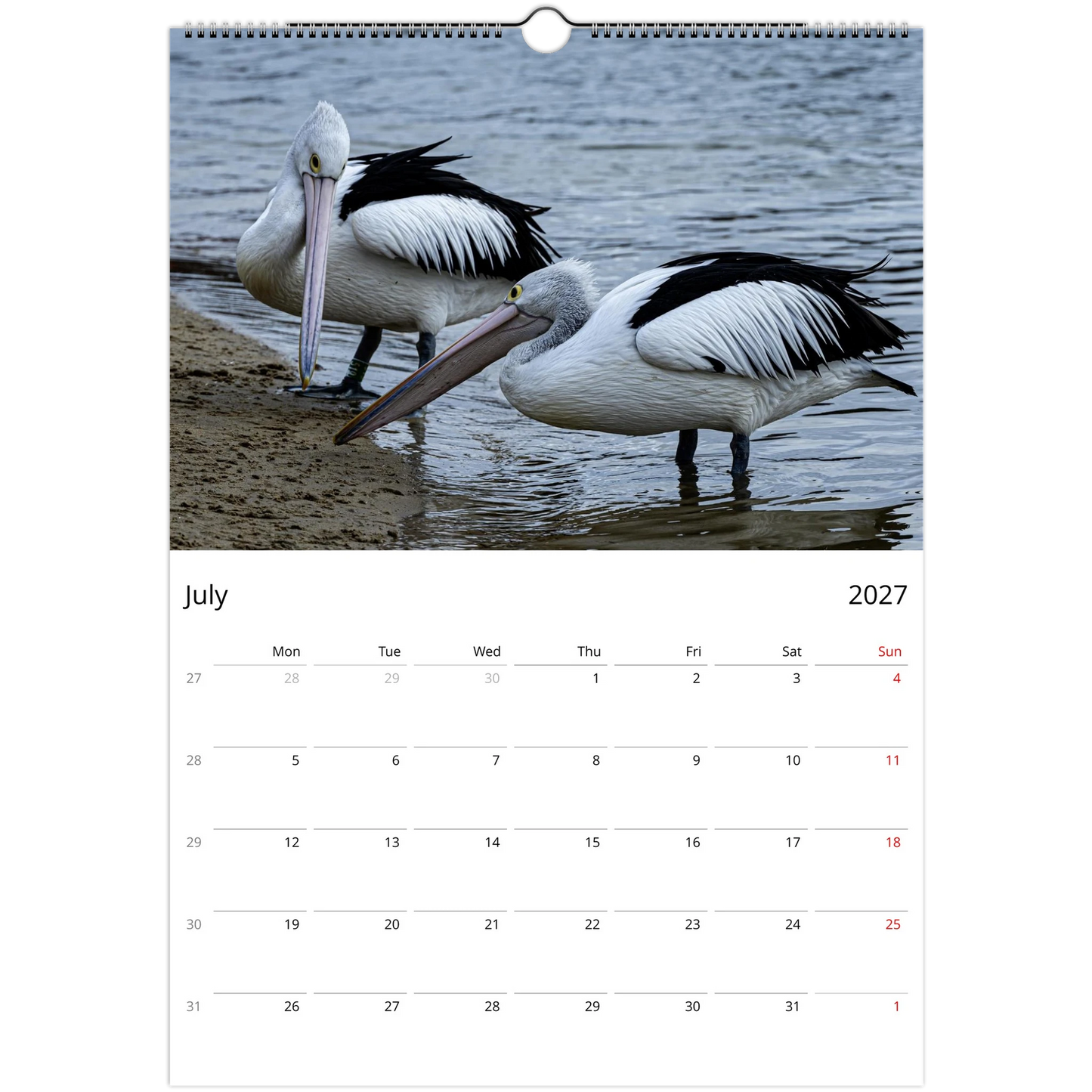 Pelicans in flight over calm coastal waters — nature photography wall calendar