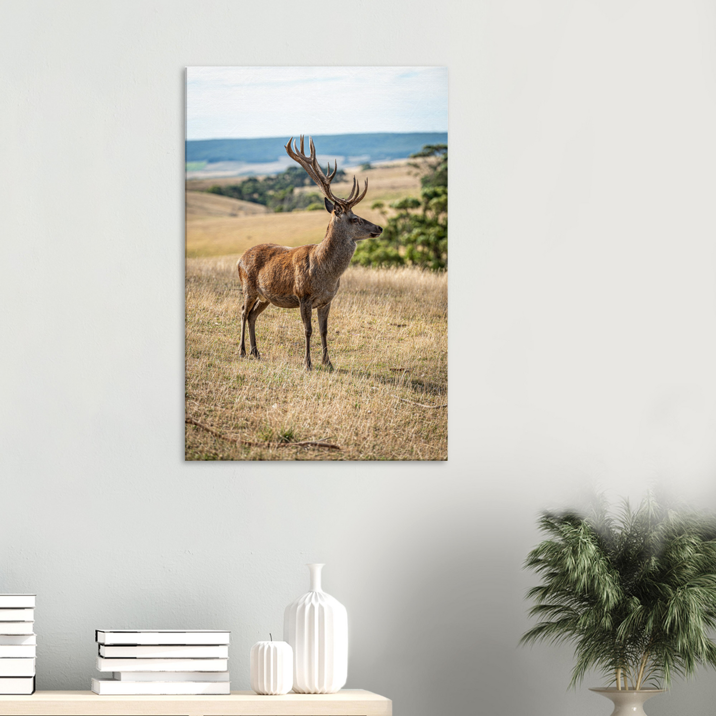 Deer Wildlife Animals Art Nursery Photography Wall Decor Kids Room Poster Playroom Artwork Stag Stretched Canvas 184