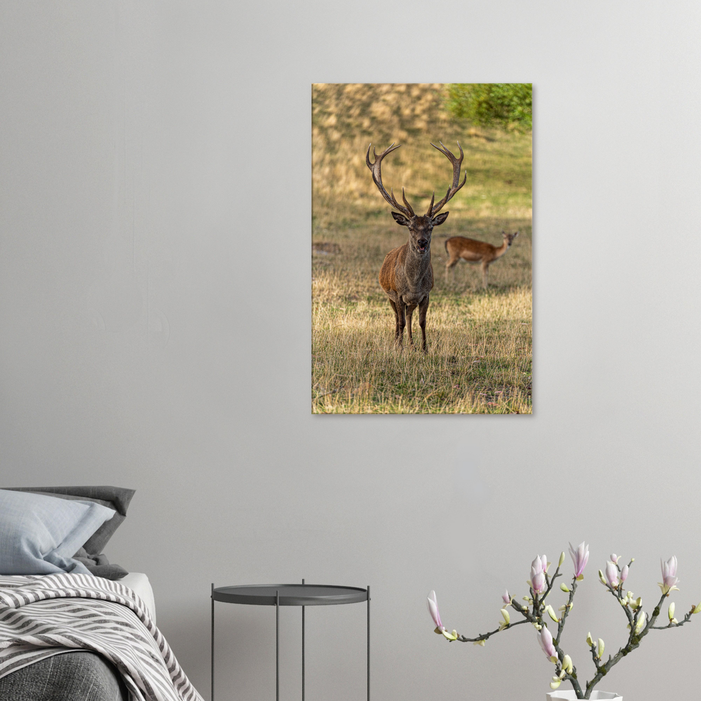Deer Wildlife Animals Art Nursery Photography Wall Decor Kids Room Poster Playroom Artwork Stag Stretched Canvas 024