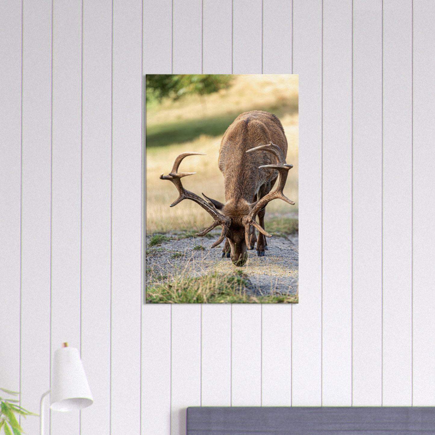 Deer Wildlife Animals Art Nursery Photography Wall Decor Kids Room Poster Playroom Artwork Stag Stretched Canvas 077