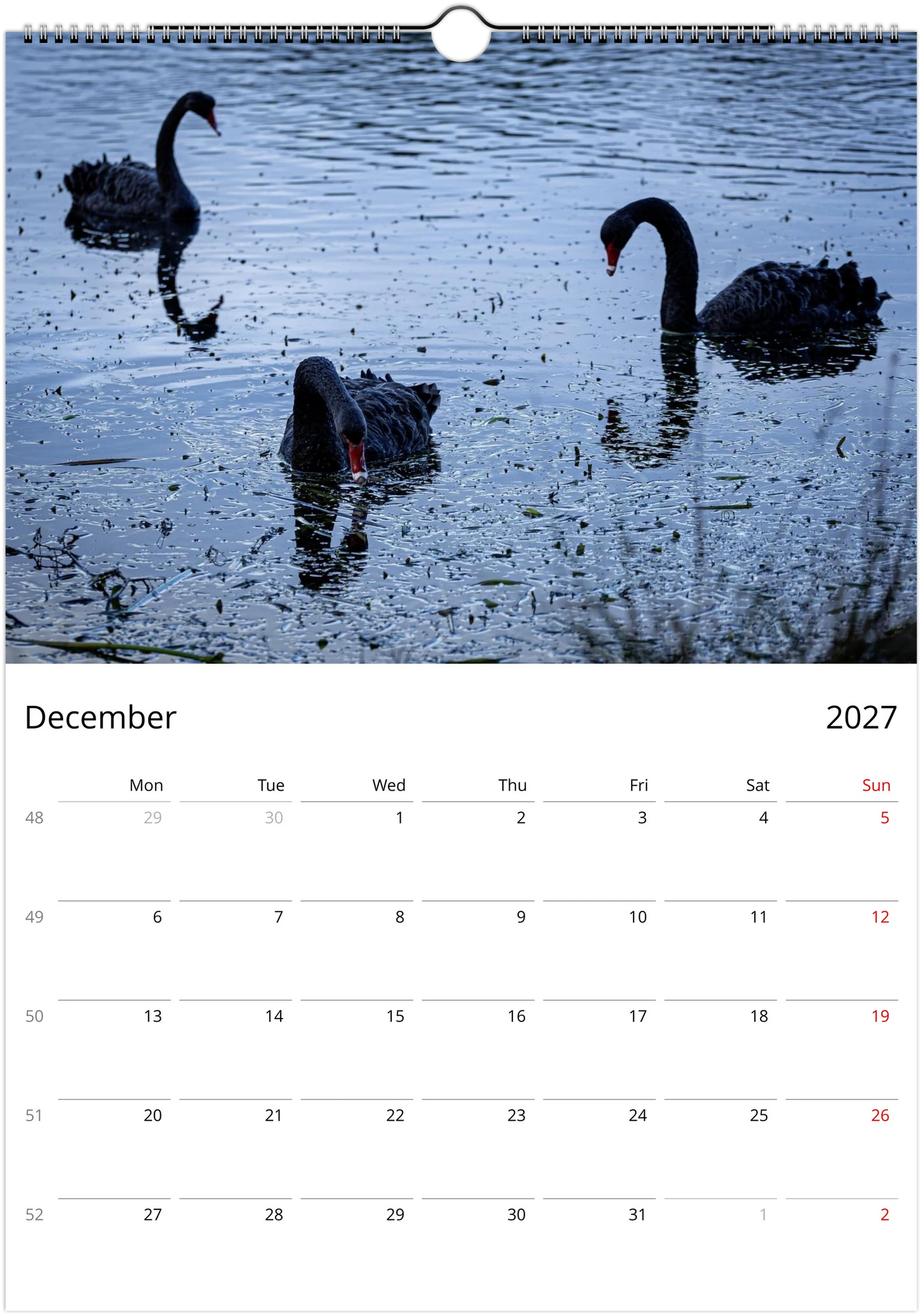 Black Swans wall calendar page by Istvan Maar Photography, featuring three black swans on a lake.
