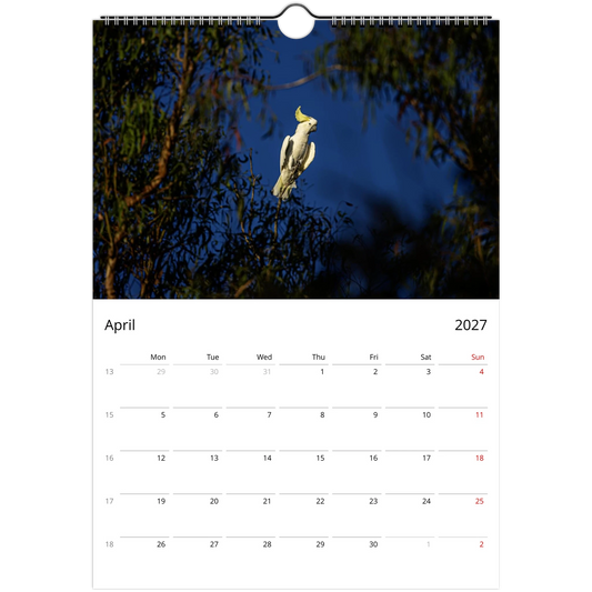 Cockatoos Wall Calendar – lifestyle wall display in home interior