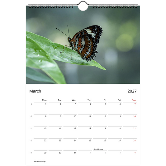 March page of the 2027 Australian Butterflies Wall Calendar: an orange, black and white butterfly resting on a leaf above the monthly grid