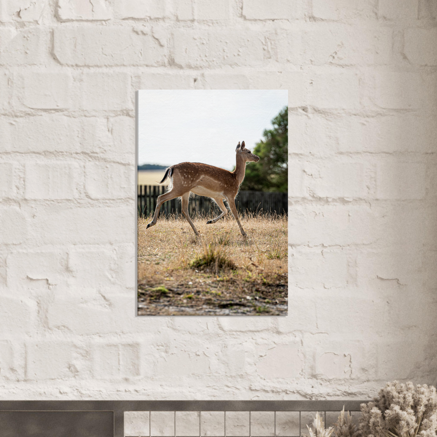 Deer Wildlife Animals Art Nursery Photography Wall Decor Kids Room Poster Playroom Artwork Stag Stretched Canvas 195
