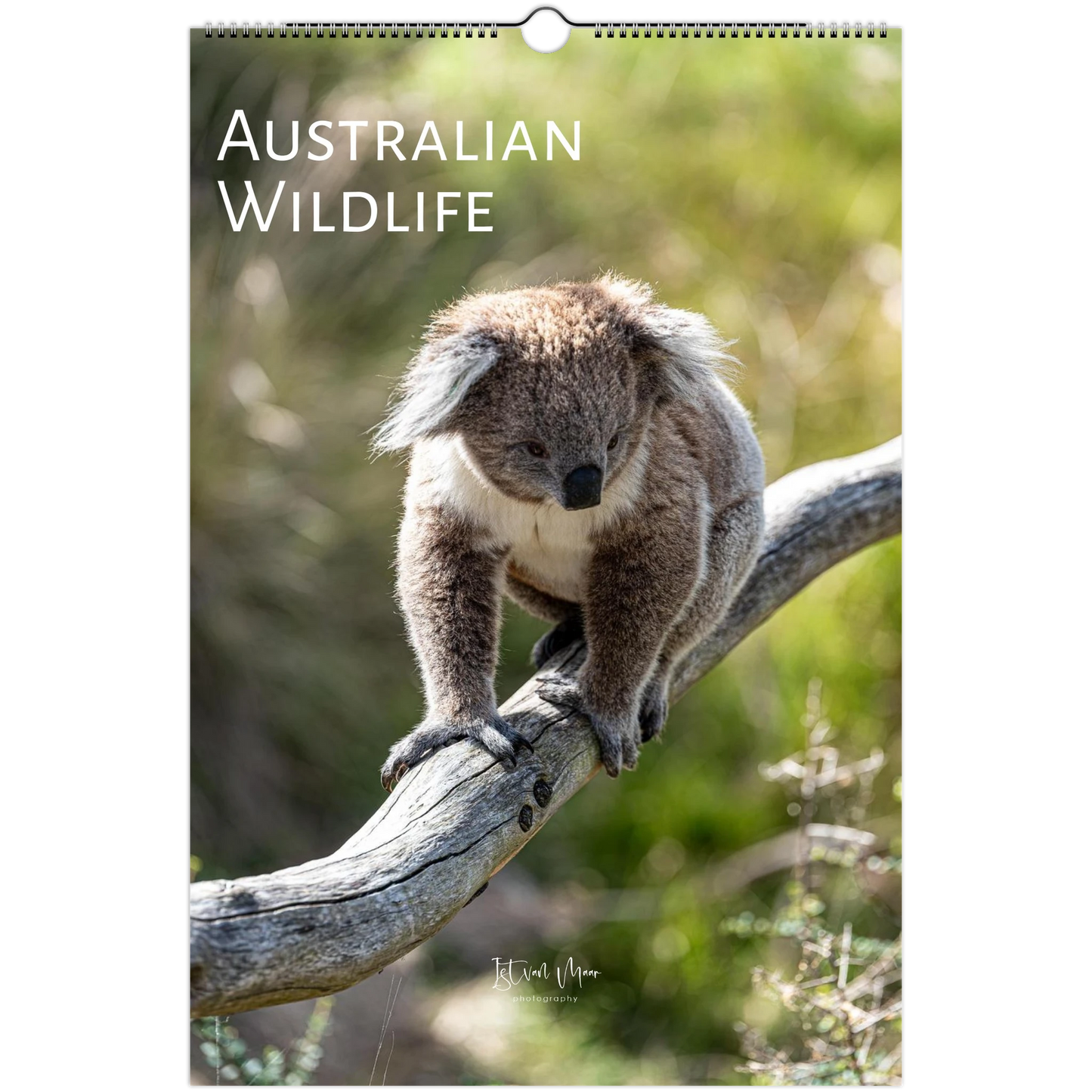 Personalised Australian Wildlife Wall Calendar by Istvan Maar Photography
