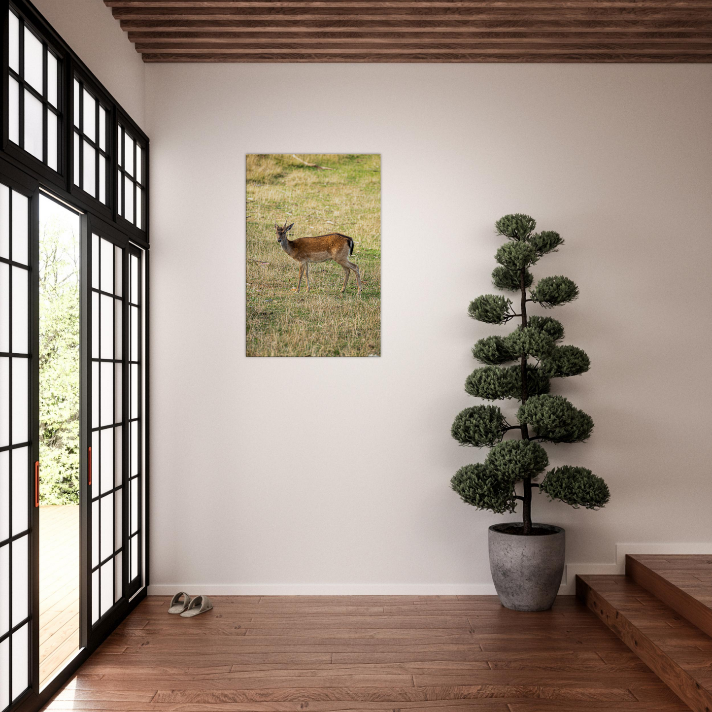 Deer Wildlife Animals Art Nursery Photography Wall Decor Kids Room Poster Playroom Artwork Stag Stretched Canvas 172