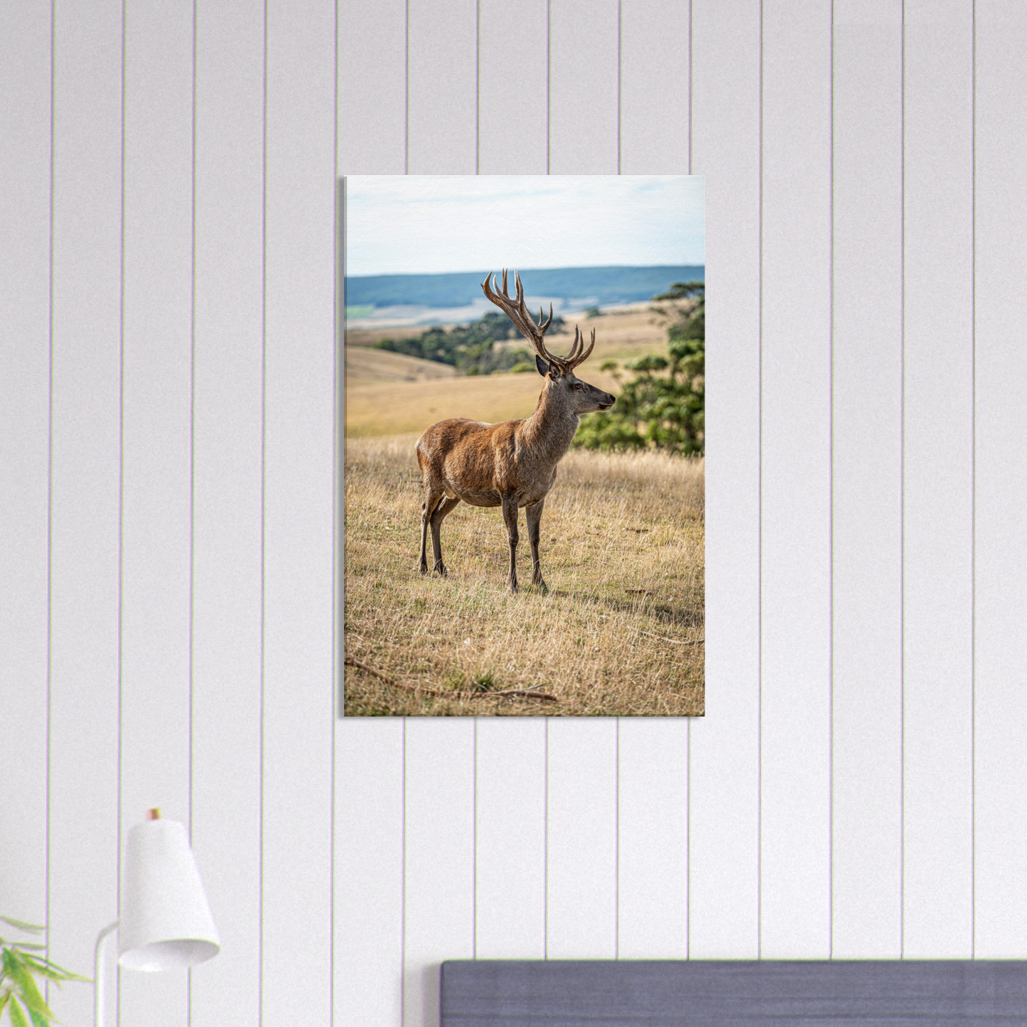 Deer Wildlife Animals Art Nursery Photography Wall Decor Kids Room Poster Playroom Artwork Stag Stretched Canvas 178