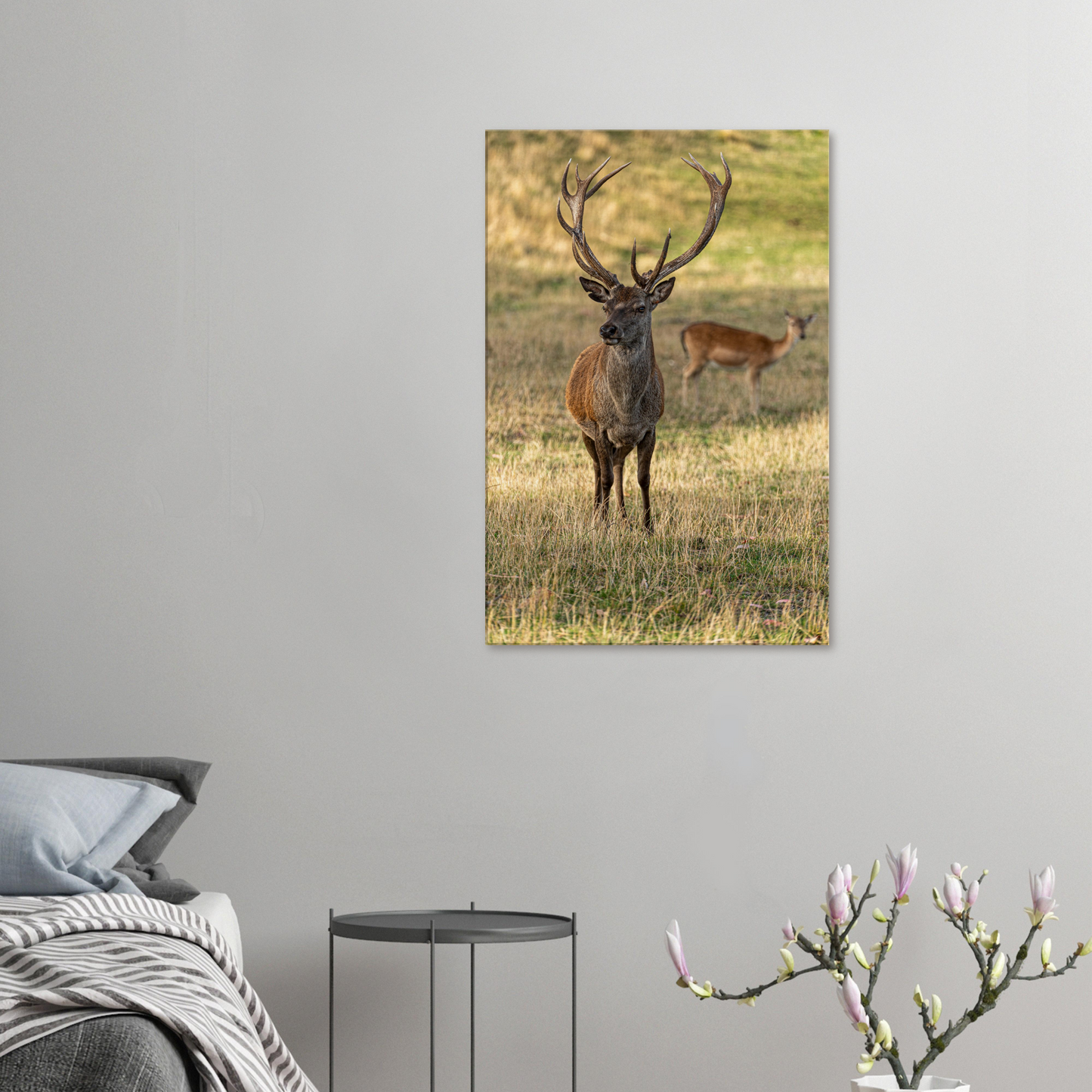 Deer Wildlife Animals Art Nursery Photography Wall Decor Kids Room Poster Playroom Artwork Stag Stretched Canvas 065