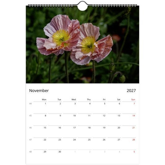 November 2027 calendar page featuring two dusty-pink Iceland poppies in soft evening light.