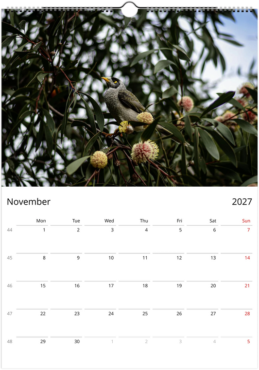 2027 Noisy Miners Wall Calendar | 3685