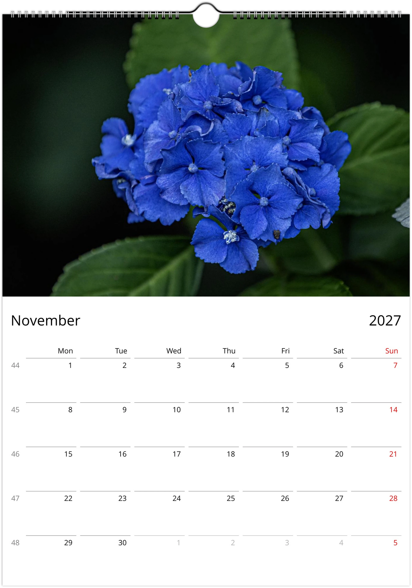 Calendar for November 2027 with a blue flower on a dark background