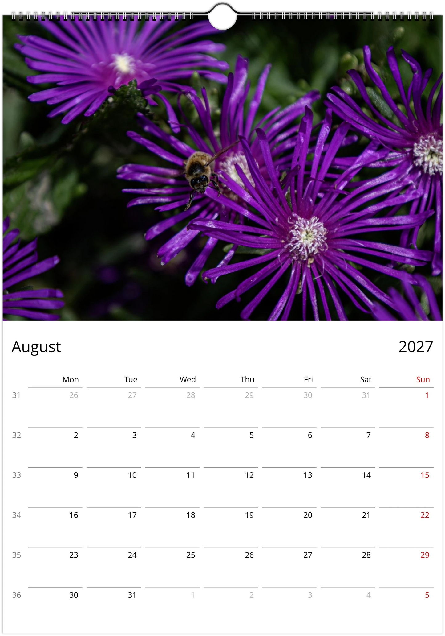 2027 Bees Wall Calendar | 7673