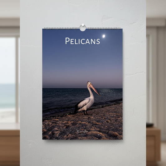 A3 pelican wildlife photography wall calendar displayed on a coastal interior wall moonlit beach cover