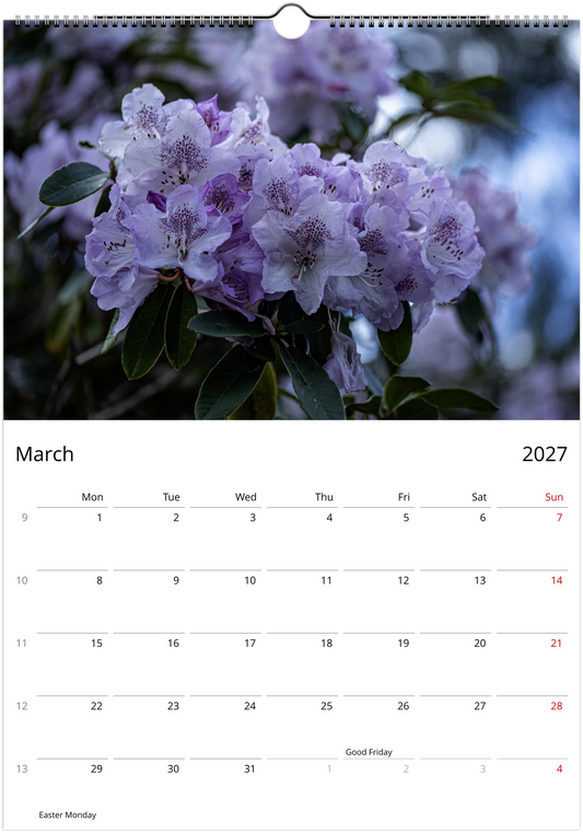 March 2027 page of the Rhododendrons wall calendar – pale lilac rhododendron blooms, Monday-start monthly grid