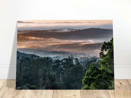 Capturing the Magic: A Misty Morning in Kalorama, Dandenong Ranges