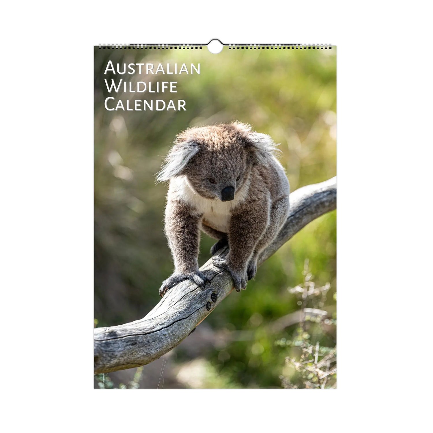 Australian Wildlife Calendar by Istvan Maar Photography