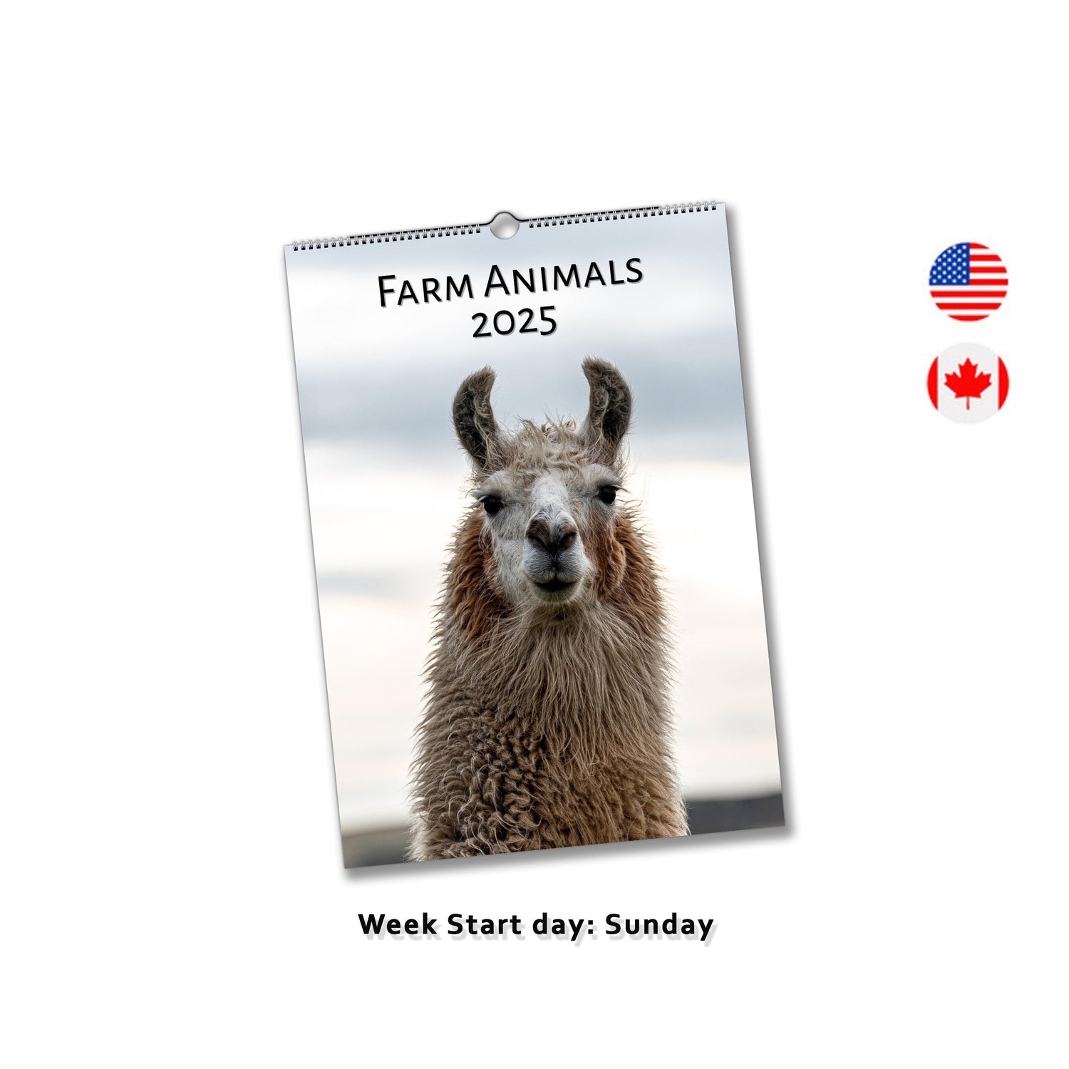 Farm animal calendar by Istvan Maar Photography