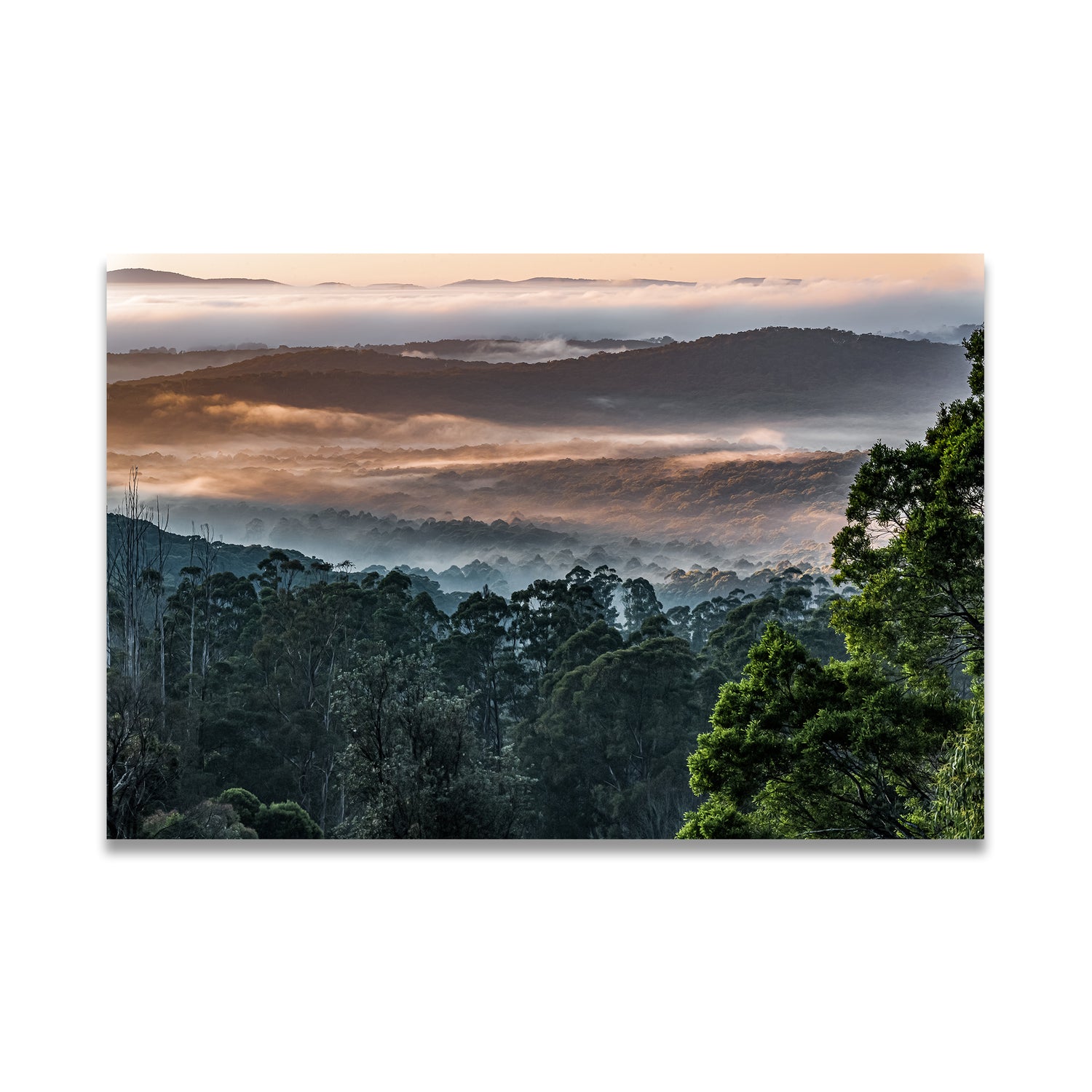 Black and white jetty poster by Istvan Maar Photography