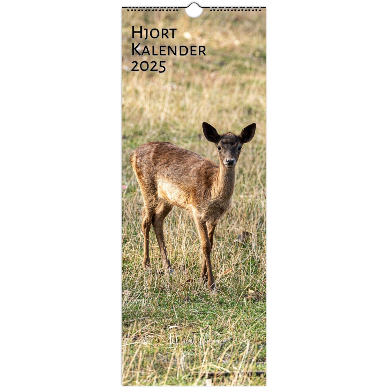 2025 Deer Wall Calendar | 2233