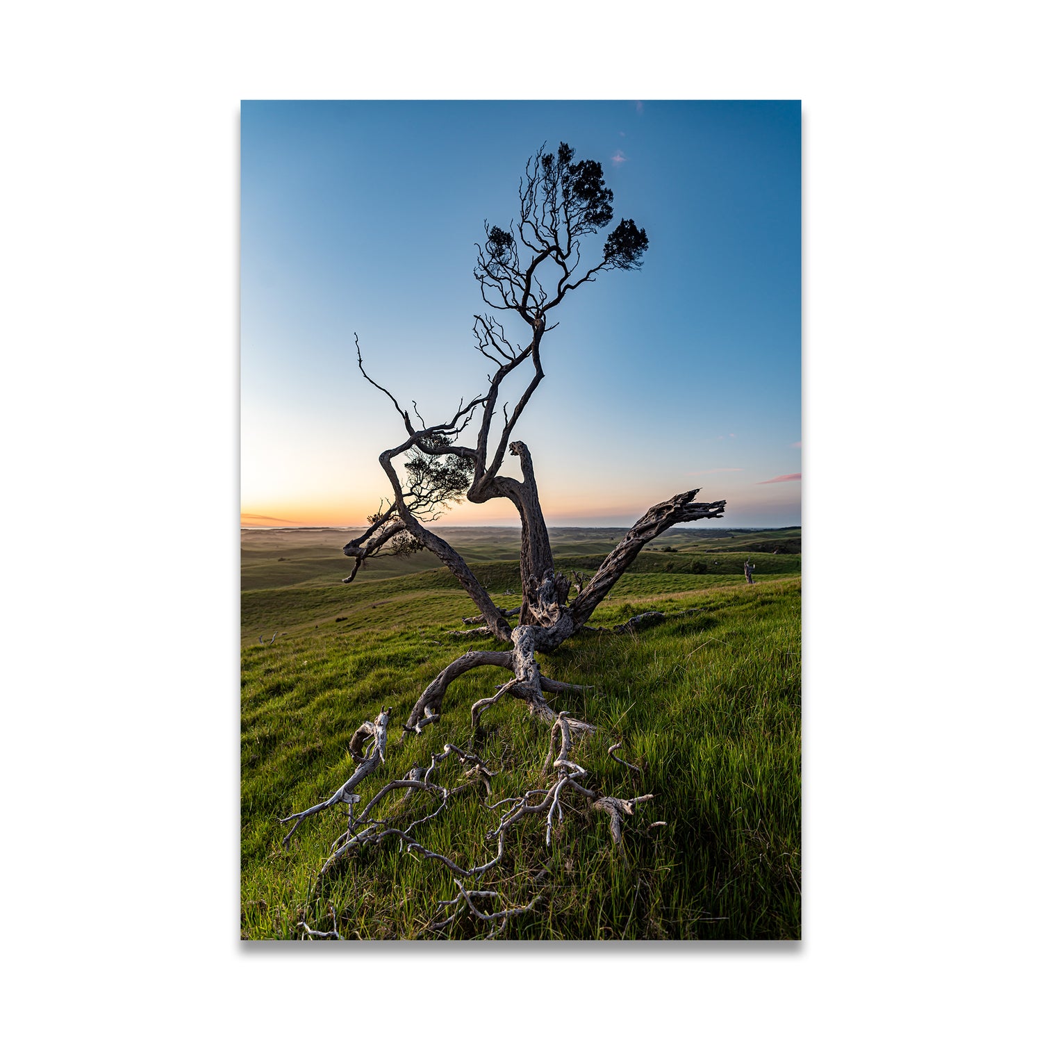 Sunset bliss canvas taken in Mornington Peninsula by Istvan Maar Photography