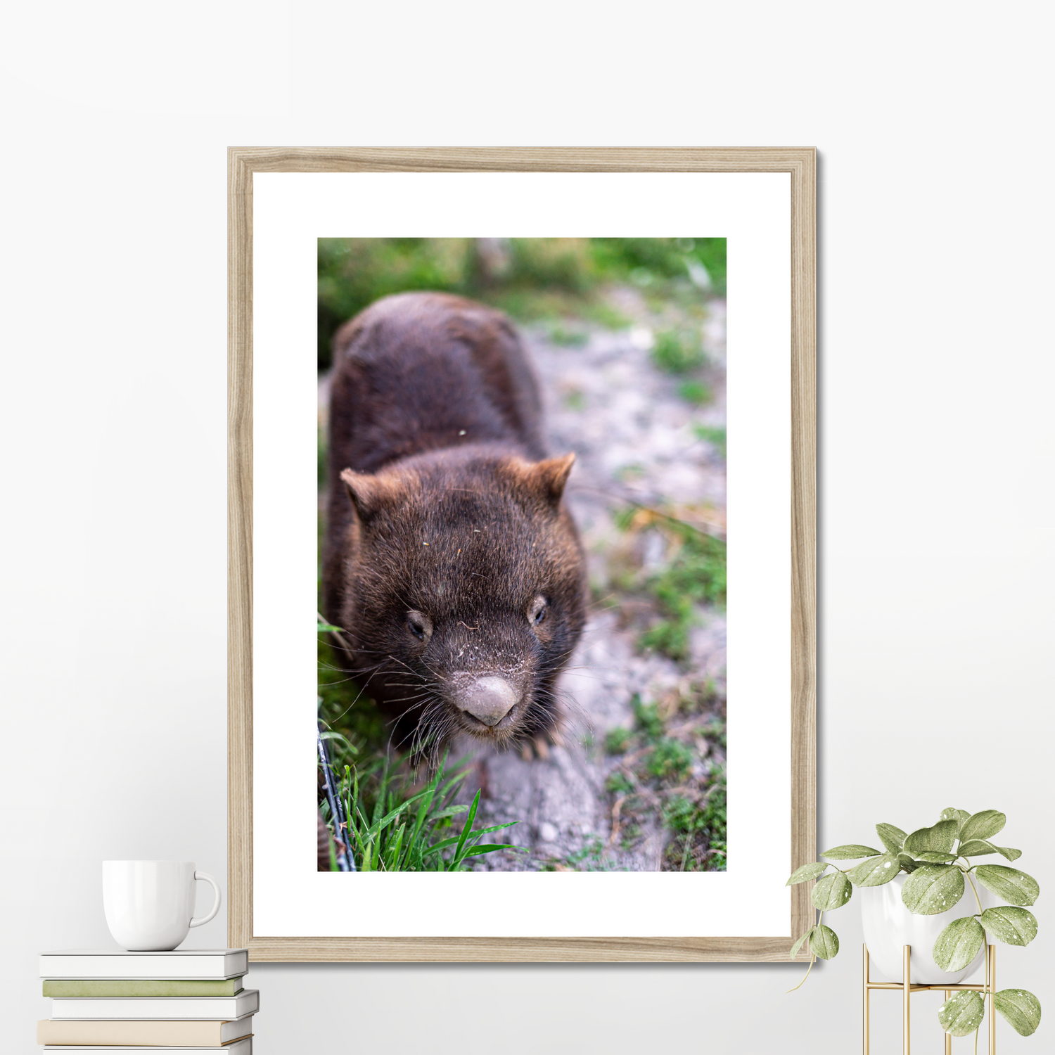 Wombat framed poster by Istvan Maar Photography