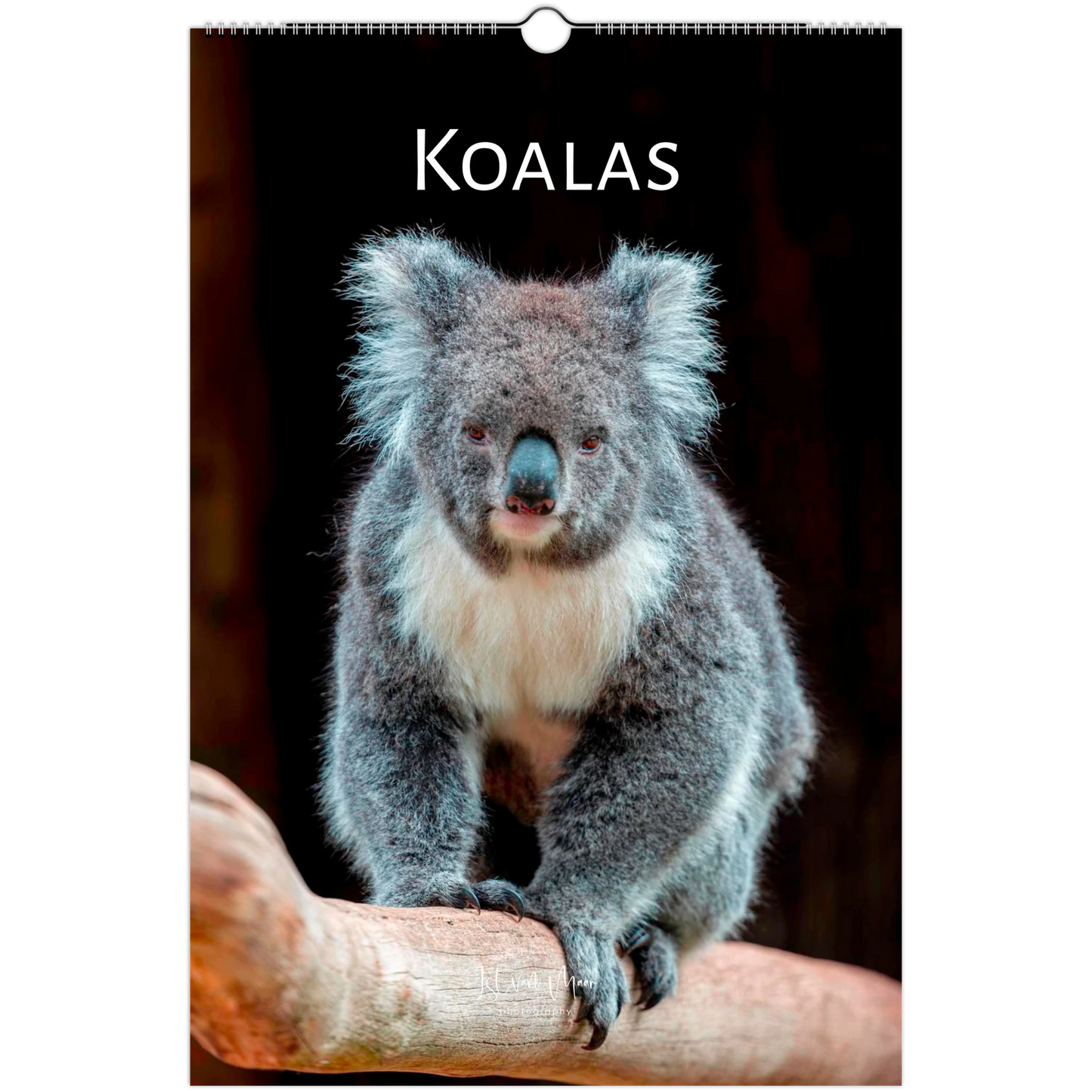 Letter Koalas Wall Calendar 2027 front cover – Istvan Maar Photography – Animal Calendars – Australian animal calendars