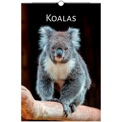 Letter Koalas Wall Calendar 2027 front cover – Istvan Maar Photography – Animal Calendars – Australian animal calendars