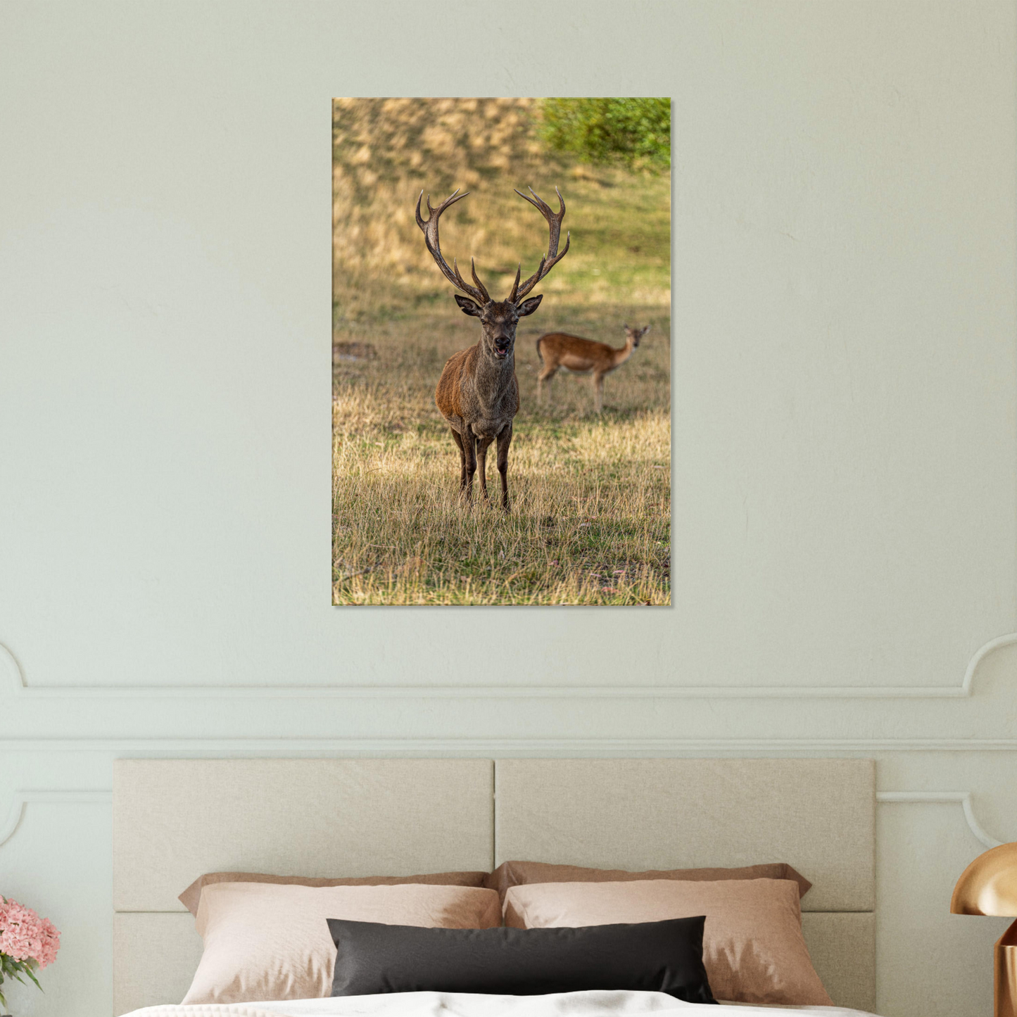 	
Deer Wildlife Animals Art Nursery Photography Wall Decor Kids Room Poster Playroom Artwork Stag Stretched Canvas 023