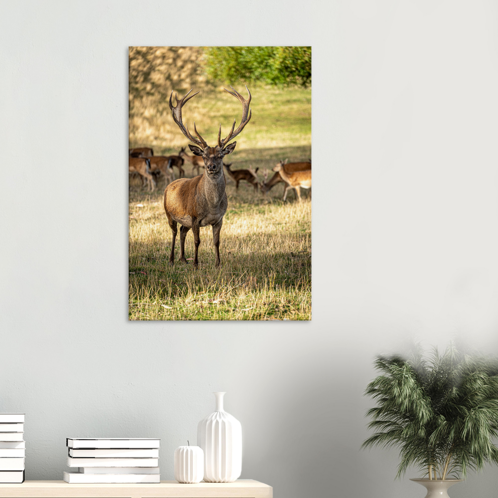 	
Deer Wildlife Animals Art Nursery Photography Wall Decor Kids Room Poster Playroom Artwork Stag Stretched Canvas 126