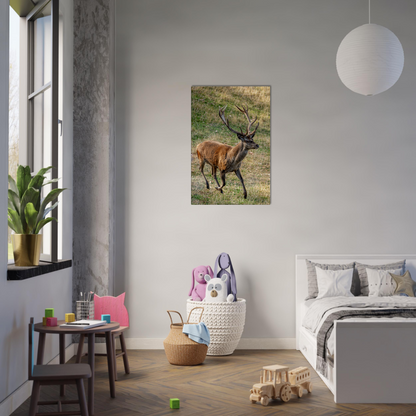 	
Deer Wildlife Animals Art Nursery Photography Wall Decor Kids Room Poster Playroom Artwork Stag Stretched Canvas 013