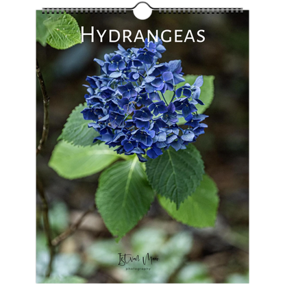 Hydrangeas Wall Calendar featuring colourful hydrangea flowers photographed in the Dandenong Ranges, Victoria by Istvan Maar. Sizes in A4, A3, LT and LG sizes.