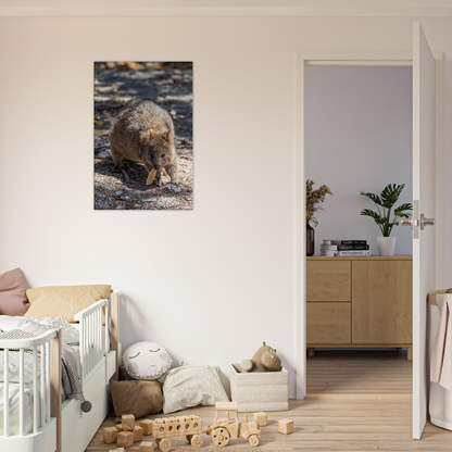 Cute Australian Animal Quokka Canvas by Istvan Maar Photography home décor