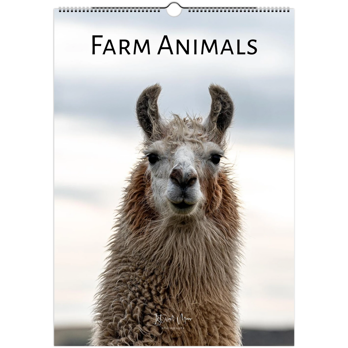 Calendar cover featuring a llama with 'Farm Animals' text on a white background