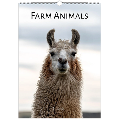 Calendar cover featuring a llama with 'Farm Animals' text on a white background