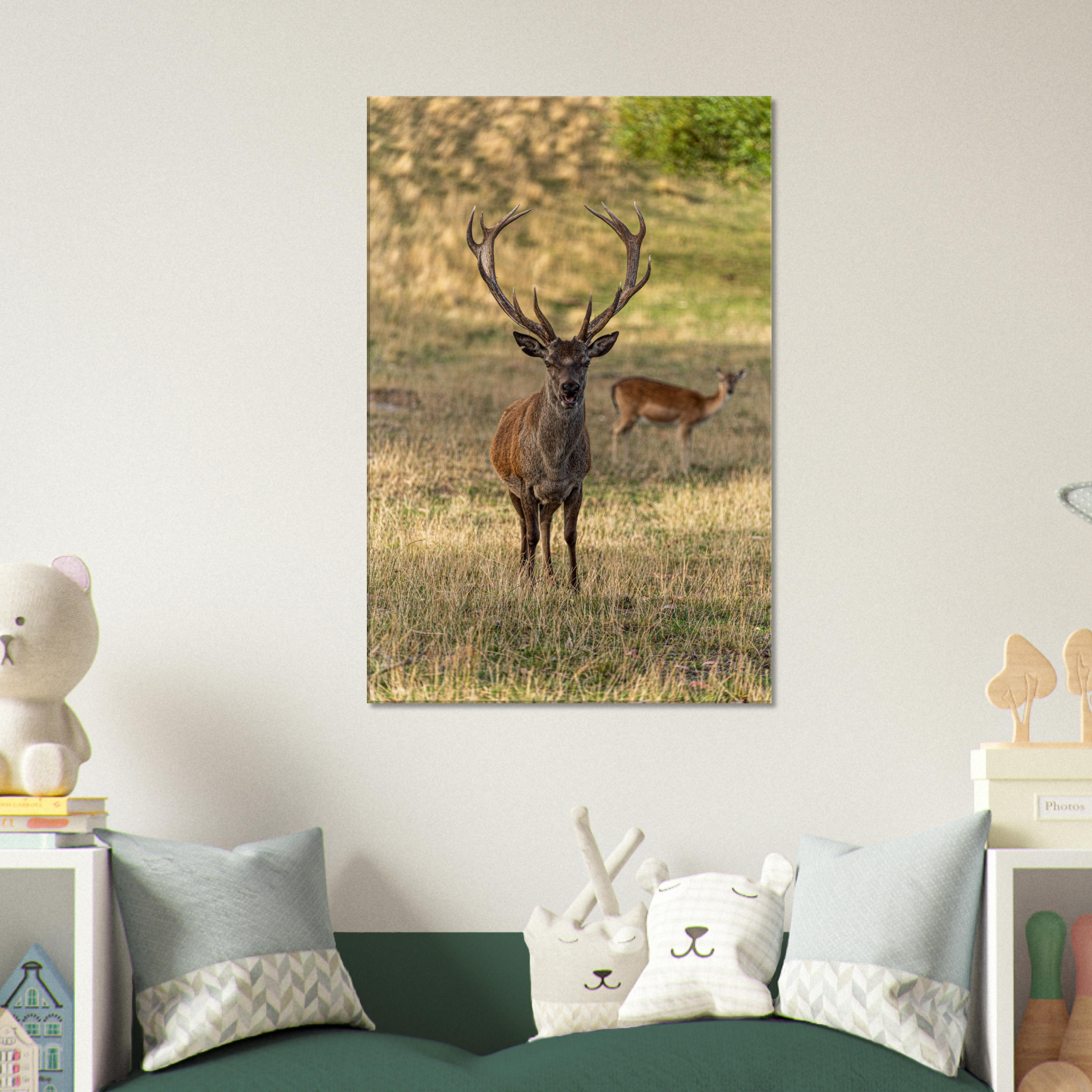 	
Deer Wildlife Animals Art Nursery Photography Wall Decor Kids Room Poster Playroom Artwork Stag Stretched Canvas 020