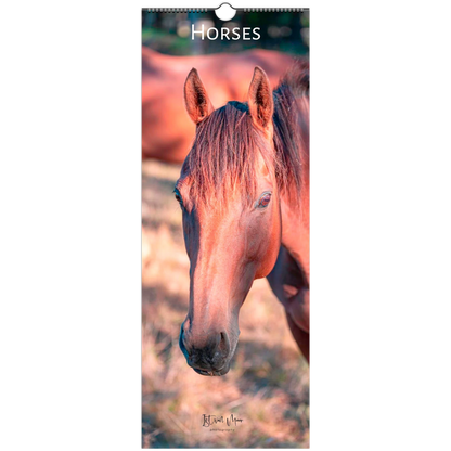 A tall wall calendar page featuring a close-up photograph of a brown horse head, with the title 'HORSES' at the top and a spiral binding hole near the top edge.