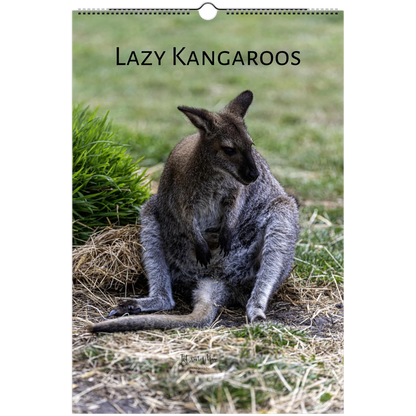 Lazy Kangaroos 2027 Wall Calendar Ledger size cover – kangaroo with joey on dry grass | Australian wildlife photography calendar