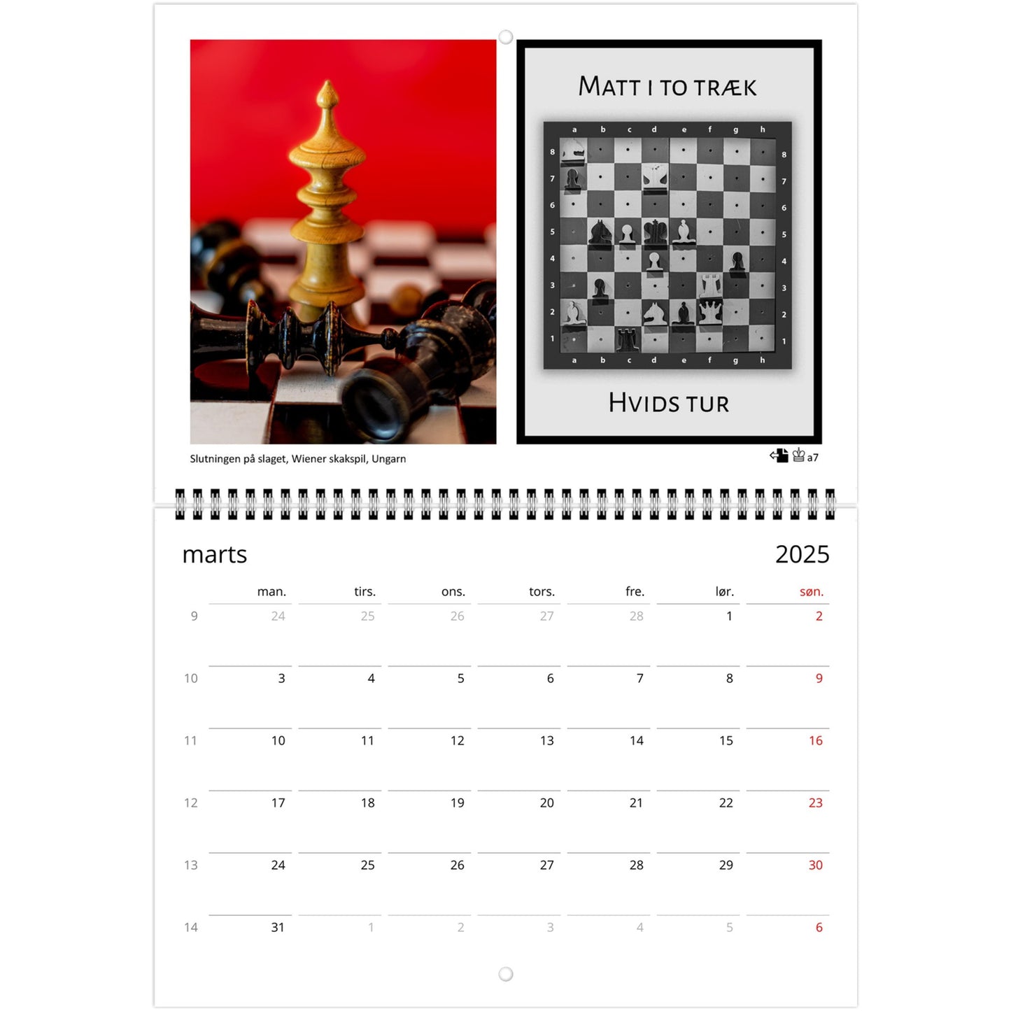 2025 Chess Puzzle Calendar by Istvan Maar Photography