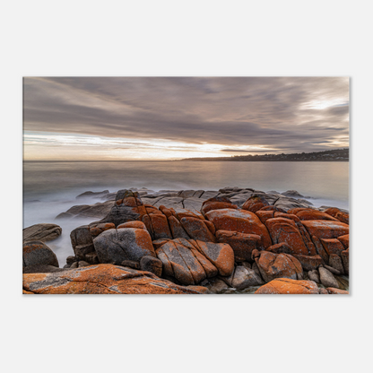 Tasmanian Coastal Stretched Canvas by Istvan Maar Photography - close-up