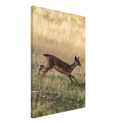 	
Deer Wildlife Animals Art Nursery Photography Wall Decor Kids Room Poster Playroom Artwork Stag Stretched Canvas 116