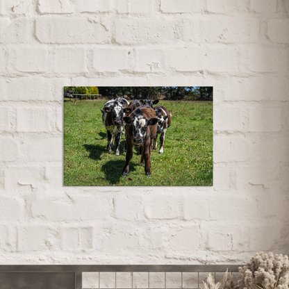 Calves Domestic Animal Canvas Wall Art Photography, Nursery Print, Nursery Animal Wall Decor, Kids Room, Prints, Stretched canvas by Istvan Maar Photography mockup 07