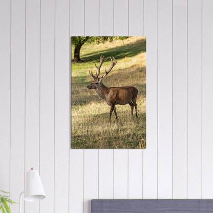 	
Deer Wildlife Animals Art Nursery Photography Wall Decor Kids Room Poster Playroom Artwork Stag Stretched Canvas 100